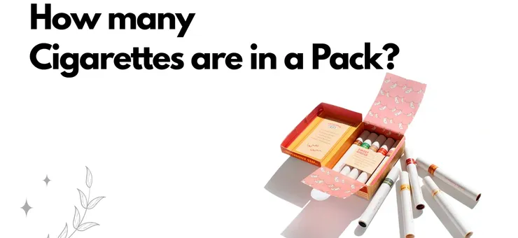 How Many Cigarettes are in a Pack? An Exclusive Guide
